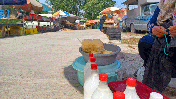 لبنیات محلی بابلسر